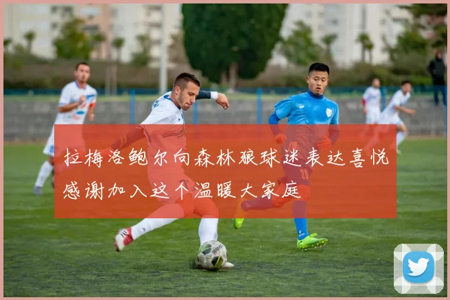 拉梅洛鲍尔向森林狼球迷表达喜悦感谢加入这个温暖大家庭
